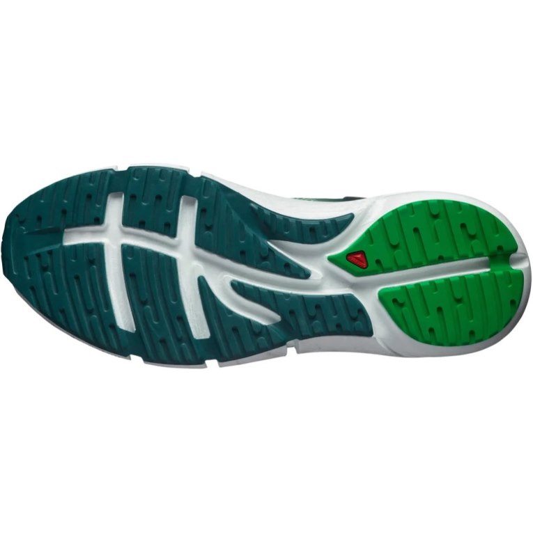 Green Salomon Predict 2 Men's Running Shoes | IE XA2501